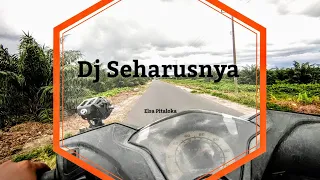 Download Dj Seharusnya Aku - Slow Bass Remix [Elsa Pitaloka] MP3