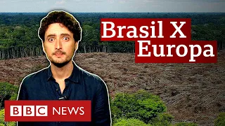 O que é mito e o que é verdade sobre o desmatamento no Brasil e na Europa