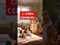 Download Lagu CIOYEN PATAH HATI #shortsviral #shortvideo #cat #shortsfeed #short #shortvideos #shortsyoutube#funny