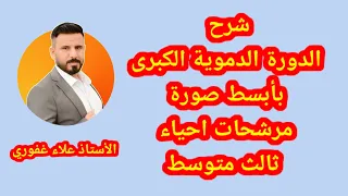 شرح الدورة الدموية الكبرى بأبسط طريقة  شرح الدورة الدموية الكبرى بأبسط طريقة