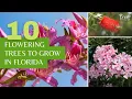 10 Stunning Flowering Trees to Grow in Florida