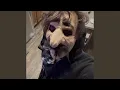 Wtf Joker Gang