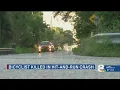 Pasco co hit and run
