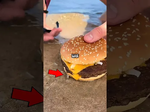إذا وضعتَ الطعام فوق الرمال يخرج شيء مرعب !!🤯