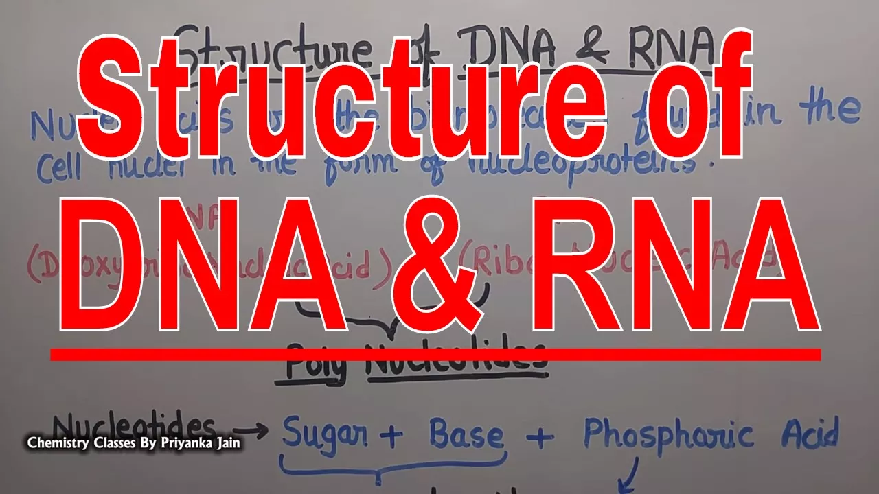Struture of DNA & RNA [Nucleic acids] # Biochemistry Part -29 # csir net , gate , Iit jam
