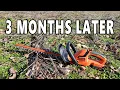 BLACK DECKER 20V MAX Cordless Hedge Trimmer 3 Month Review