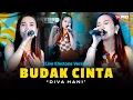 Download Lagu Diva Hani - BUCIN - Budak Cinta (Official Music Video ) Aku Bukan Budak Cinta