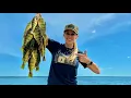 Catching Perch on Lake Winnebago Wisconsin Fish Fry at its Finest