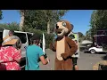 Cap So Tempo - Clip saison 2026 Camping Spa Cap Soleil
