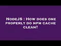 NodeJS How does one properly do npm cache clean