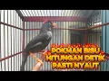 Download Lagu Poksay MANDARIN gacor cocok untuk pancingan