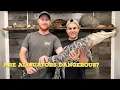 Alligator attacks Can they be prevented