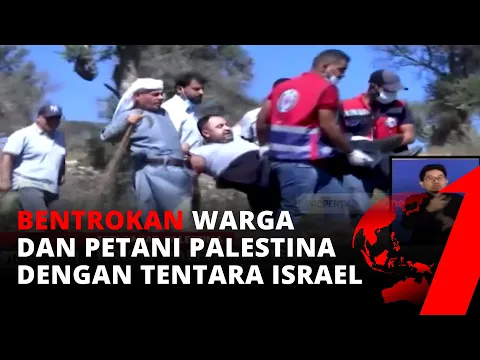 Krisis Palestina Israel, Warga dan Petani Zaitun Bentrok Dengan Tentara Israel | tvOne