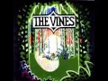 Download Lagu The Vines Factory