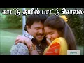 Download Lagu காட்டுக் குயில் பாட்டுச் சொல்ல வீட்டு கிளி | Kattu Kuyil Pattu || Tamil Love Melody 4K HD Song #Mano