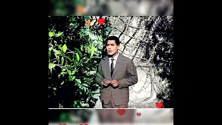 الفنان محرم فؤاد  جرح الحبايب   دندنها