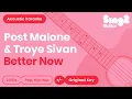 Post Malone Troye Sivan - Better Now Acoustic Karaoke