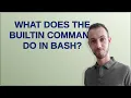 What does the builtin command do in bash