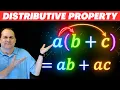 Learn Master the Distributive Property - The Easy Way