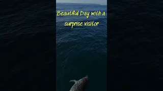 Happy days cruising along
