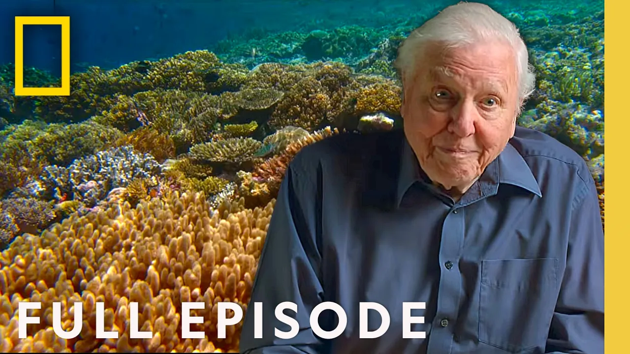 Ocean with David Attenborough documentary thumbnail