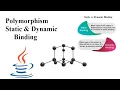 Polymorphism Static Dynamic Binding