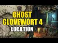 Ghost Glovewort 4 EARLY Location in Elden Ring