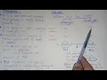Ribosomes Structure And Functions Polysomes Federal KPK Board