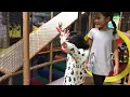 Billy Beez Palisades Throwback Funtime Show Surprise
