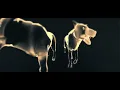 Old Friend - Elderbrook