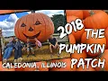 The Lindberg Pumpkin Patch Caledonia IL