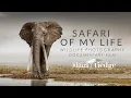 Download Lagu Safari of my Life - Wildlife Photography Documentary with Klaus Tiedge