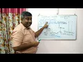 Nitrogen Transformation in Submerged Field