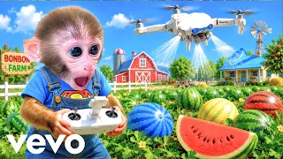 BonBon the Monkey Grows Watermelons! A Magical Surprise Happens with the Secret Device! BonBonVEVO