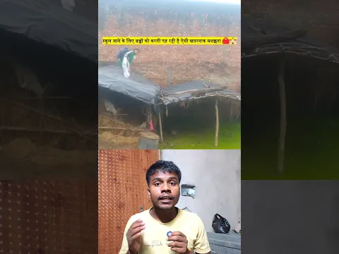 स्कूल जाने के लिए बच्चों को करनी पड़ रही है ऐसी खतरनाक मशक्कत! 🎒🏫
