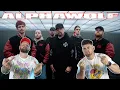 Download Lagu ALPHA WOLF \