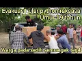 Download Lagu SEDIH DETIK-DETIK EVAKUAS1 ULAR PYTHON RAKSASA UMUR 19 TAHUN YANG DI PELIHARA WARGA