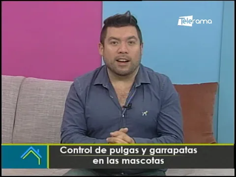 Control de pulgas y garrapatas en las mascotas