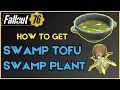 How To Find Swamp Plant and Cook Swamp Tofu Guide Near Dyer Chemical Location Fallout 76