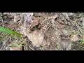 1708 Orr Road Caro MI 48723 - Land