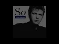 Peter Gabriel | In Your Eyes (HQ)