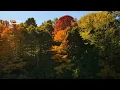 Autumn at Upper Fountain Park
