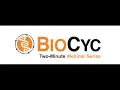 Produce a multiple sequence alignment