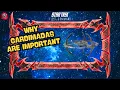 Why Cardassian Armadas are important How to Play Star Trek Fleet Command Outside Views STFC