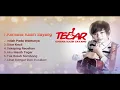 Download Lagu TEGAR【THE BEST OF THE BEST 】NON-STOP (Official Audio)