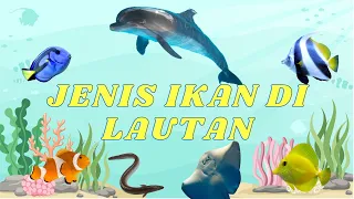 Download Belajar Mengenal Nama Ikan Laut, Mengenal nama nama hewan di laut untuk anak dan balita MP3