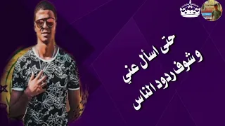 مهرجان الناس كلها حباني ابو الشوق حالة واتس 