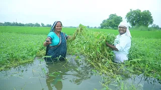 पानी वाली सब्जी आयरन से भरपूर || नारी का साग || Karemua ka sabji