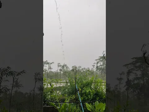 ujan pertama yg sangat lebat#visitani