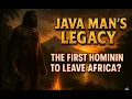 Java Man s Legacy The First Hominin to Leave Africa
